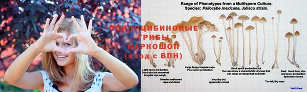 хмурый Балахна