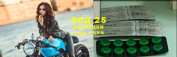 стаф Баксан