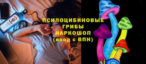 стаф Баксан