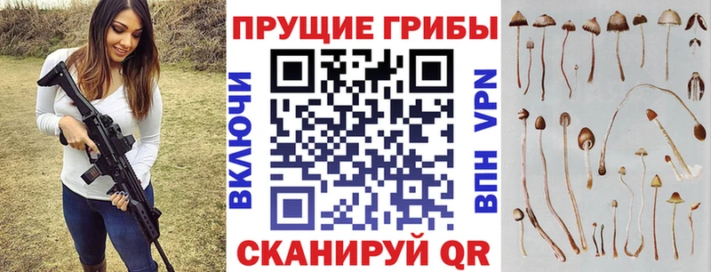 Псилоцибиновые грибы мухоморы  хочу   Лермонтов 